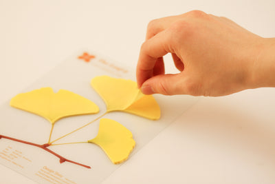 Appree Korea - Sticky Notes - Yellow Ginkgo Leaf (Large Pack)