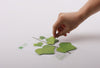 Appree Korea - Sticky Notes - Green Ivy (Large Pack)