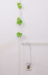 Appree Korea - Sticky Notes - Green Ivy (Large Pack)