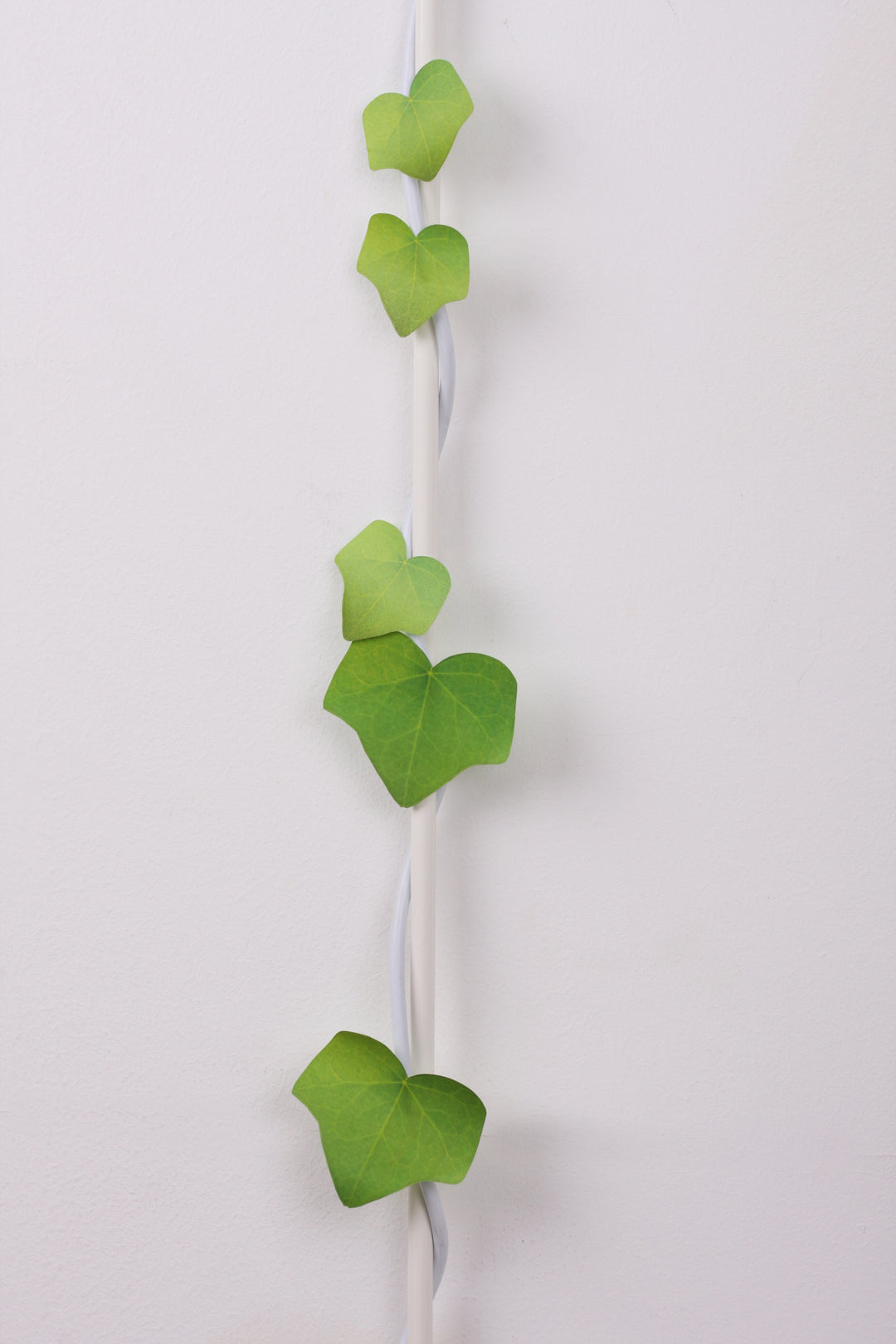 Appree Korea - Sticky Notes - Green Ivy (Large Pack)