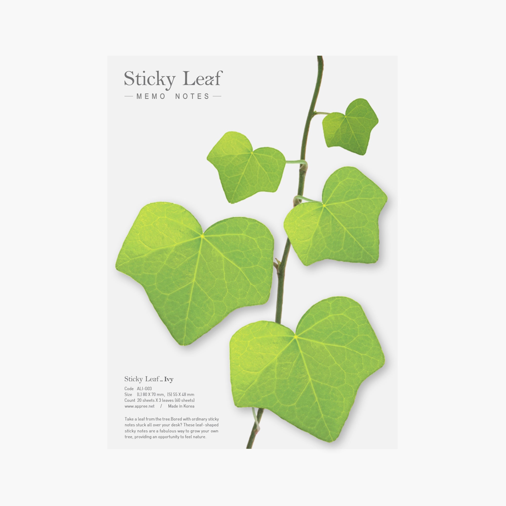 Appree Korea - Sticky Notes - Green Ivy (Large Pack)