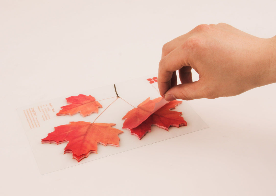 Appree Korea - Sticky Notes - Yellow Maple Leaf (Large Pack)