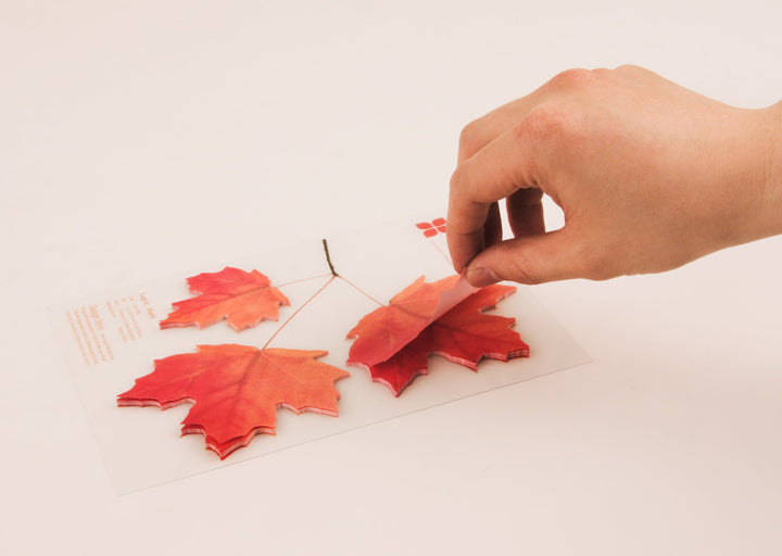 Appree Korea - Sticky Notes - Yellow Maple Leaf (Large Pack)