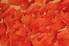 Appree Korea - Sticky Notes - Red Maple Leaf (Large Pack)