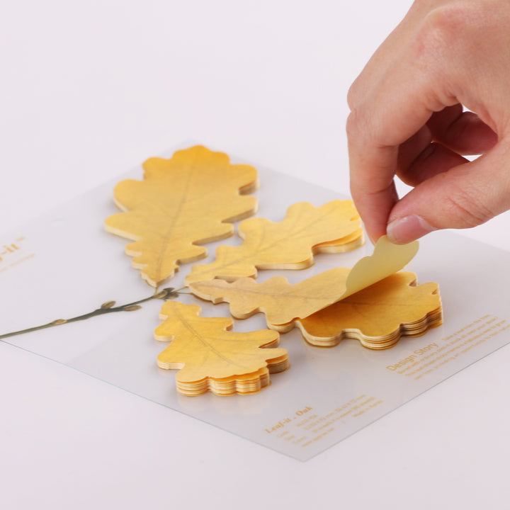 Appree Korea - Sticky Notes - Autumn Oak (Large Pack)