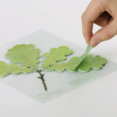 Appree Korea - Sticky Notes - Green Oak (Large Pack)