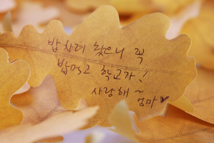 Appree Korea - Sticky Notes - Green Oak (Large Pack)