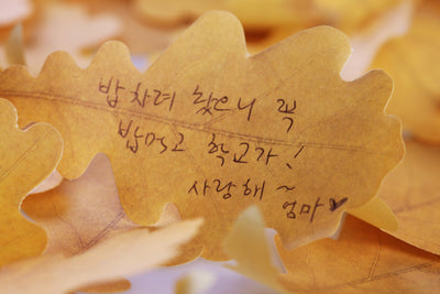 Appree Korea - Sticky Notes - Autumn Oak (Large Pack)