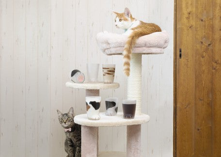 Coconeco Cat Paw Glass - Brown Tabby Cat (Made in Japan)