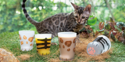 Coconeco Cat Paw Glass - Brown Tabby Cat (Made in Japan)