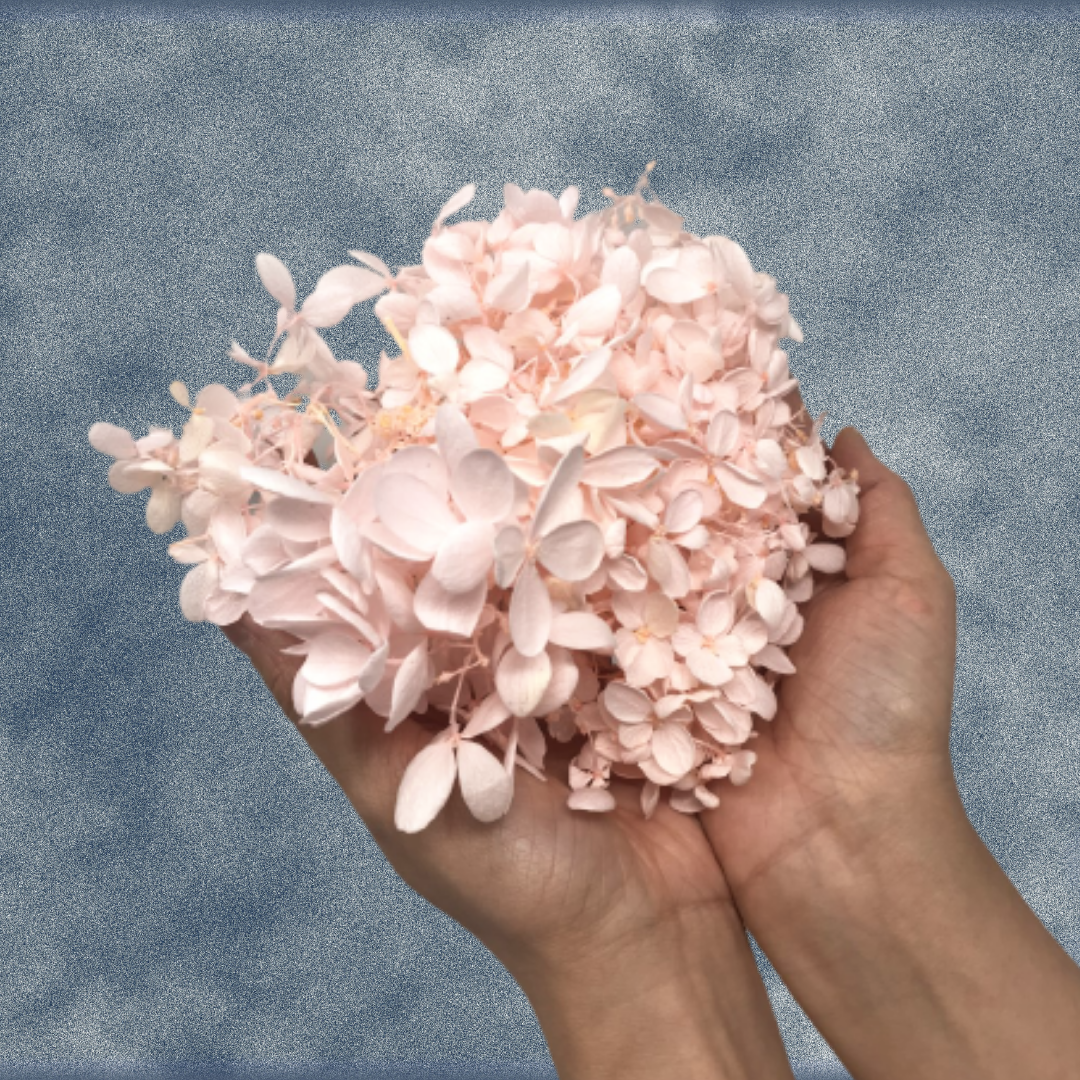 Box of Preserved Hydrangea Flower Petals - Purple