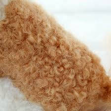 Hamanaka Curly Real Felt Wool for Needle Felting- Light Brown