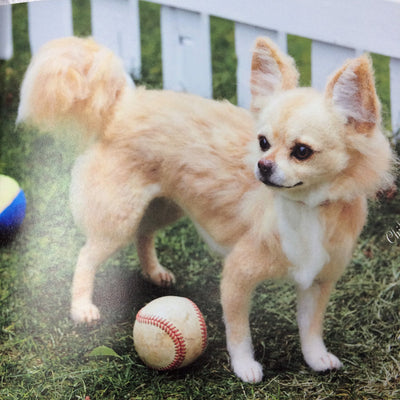 Japanese Realistic Dogs and Cats Needle Felting Book - Mirii Kirino