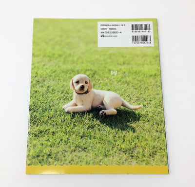 Amazing Japanese Dogs Needle Felting Book