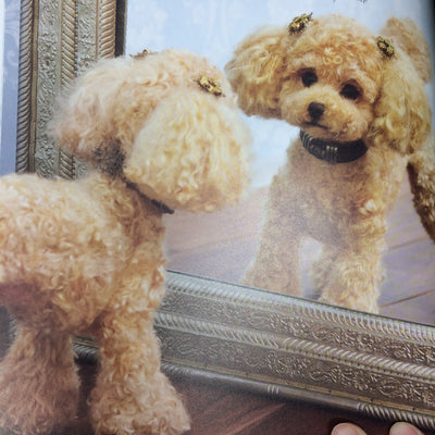 Japanese Realistic Dogs and Cats Needle Felting Book - Mirii Kirino