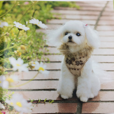 Amazing Japanese Dogs Needle Felting Book