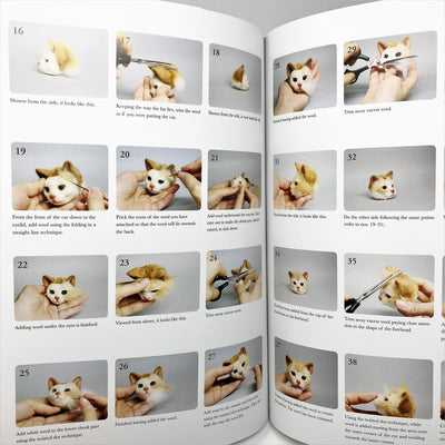 Needle Felted Kittens Book by Hinali - English Version