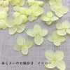 Preserved Hydrangea Flower Petals - Yellow