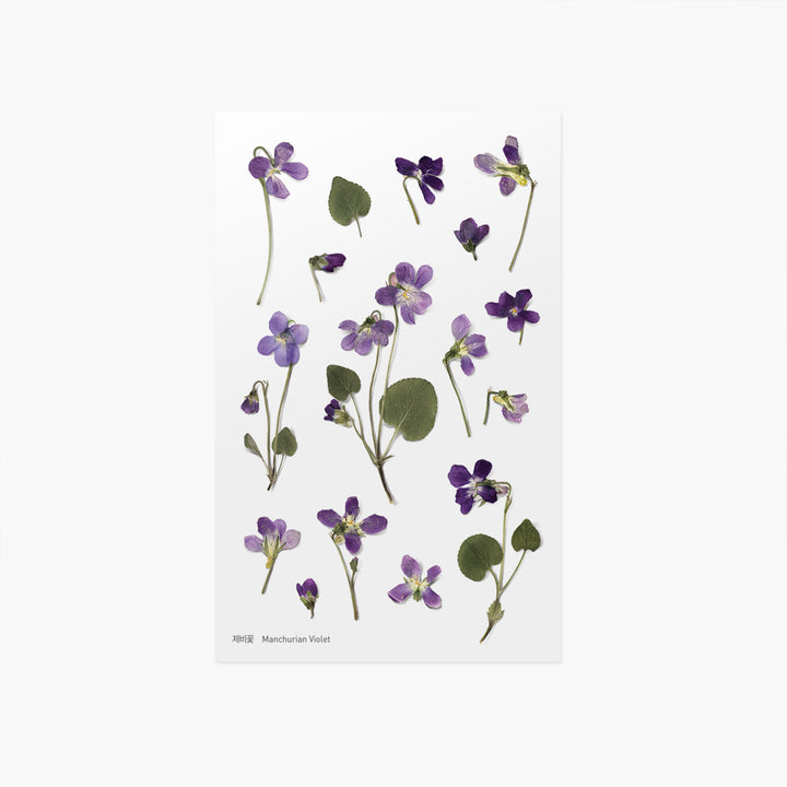 Appree Korea - Pressed Flower Stickers - Manchurian Violet