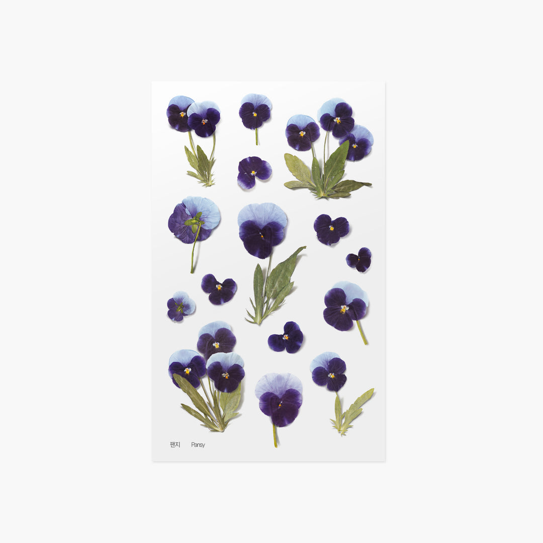Appree Korea - Pressed Flower Stickers - Pansy