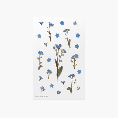 Appree Korea - Pressed Flower Stickers - Forget-me-not