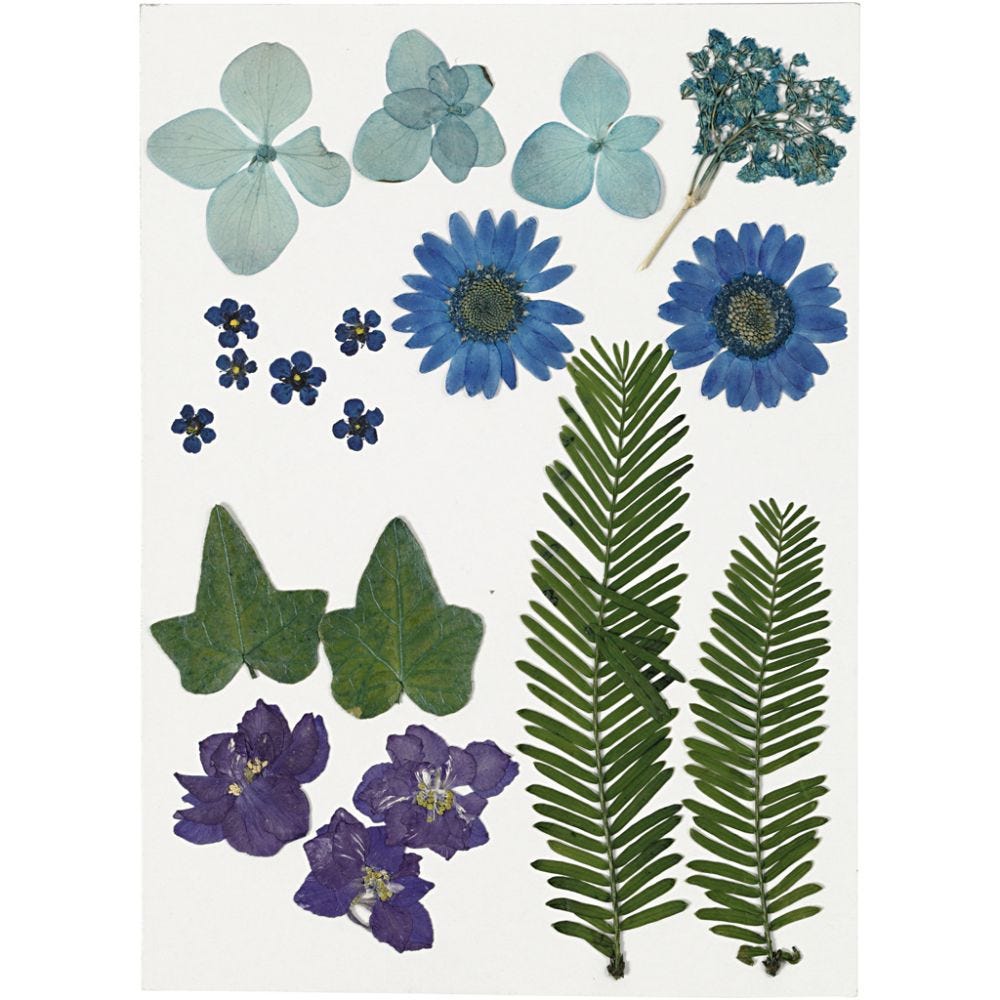 Pressed Flower & Leaves Pack - Blue