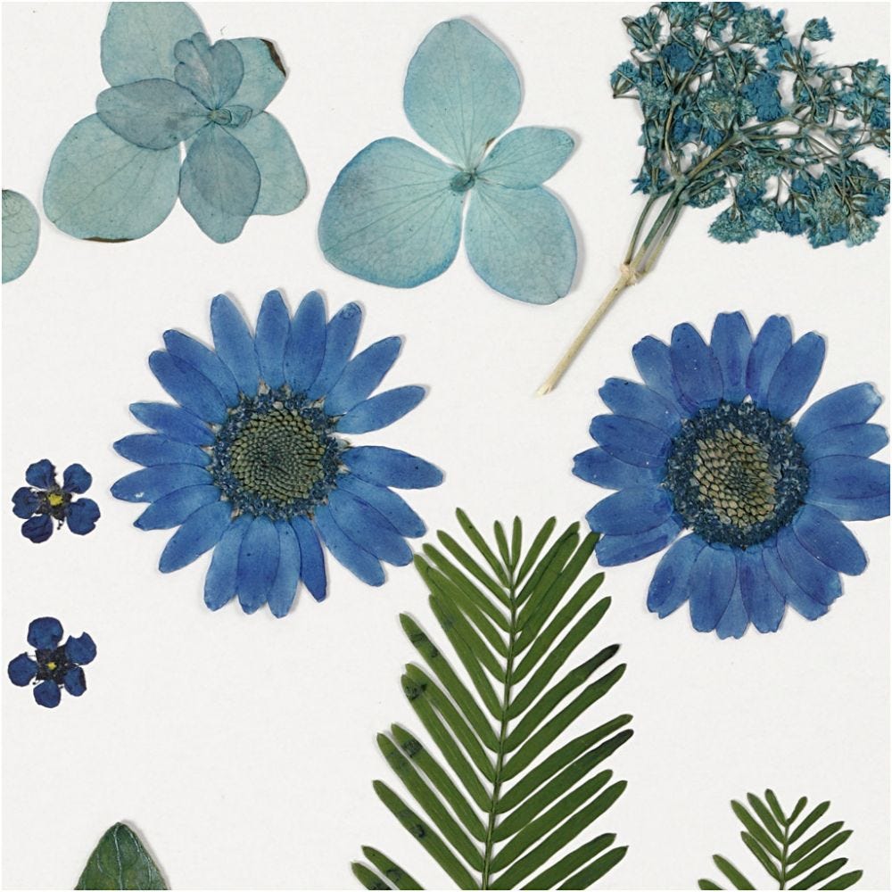 Pressed Flower & Leaves Pack - Blue