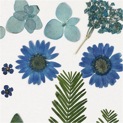 Pressed Flower & Leaves Pack - Blue
