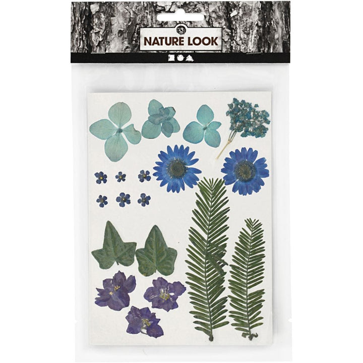 Pressed Flower & Leaves Pack - Blue
